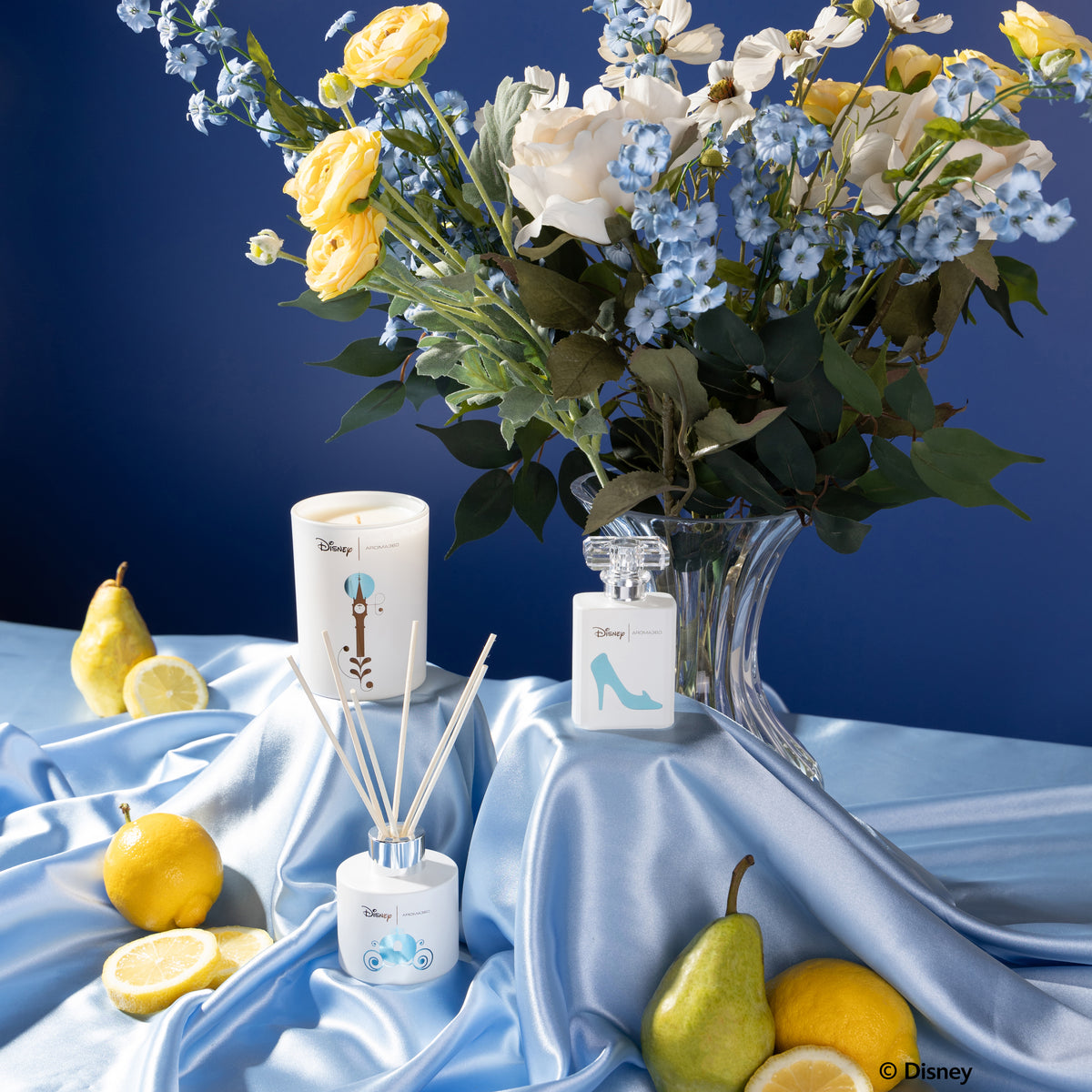 Cinderella Collection Set