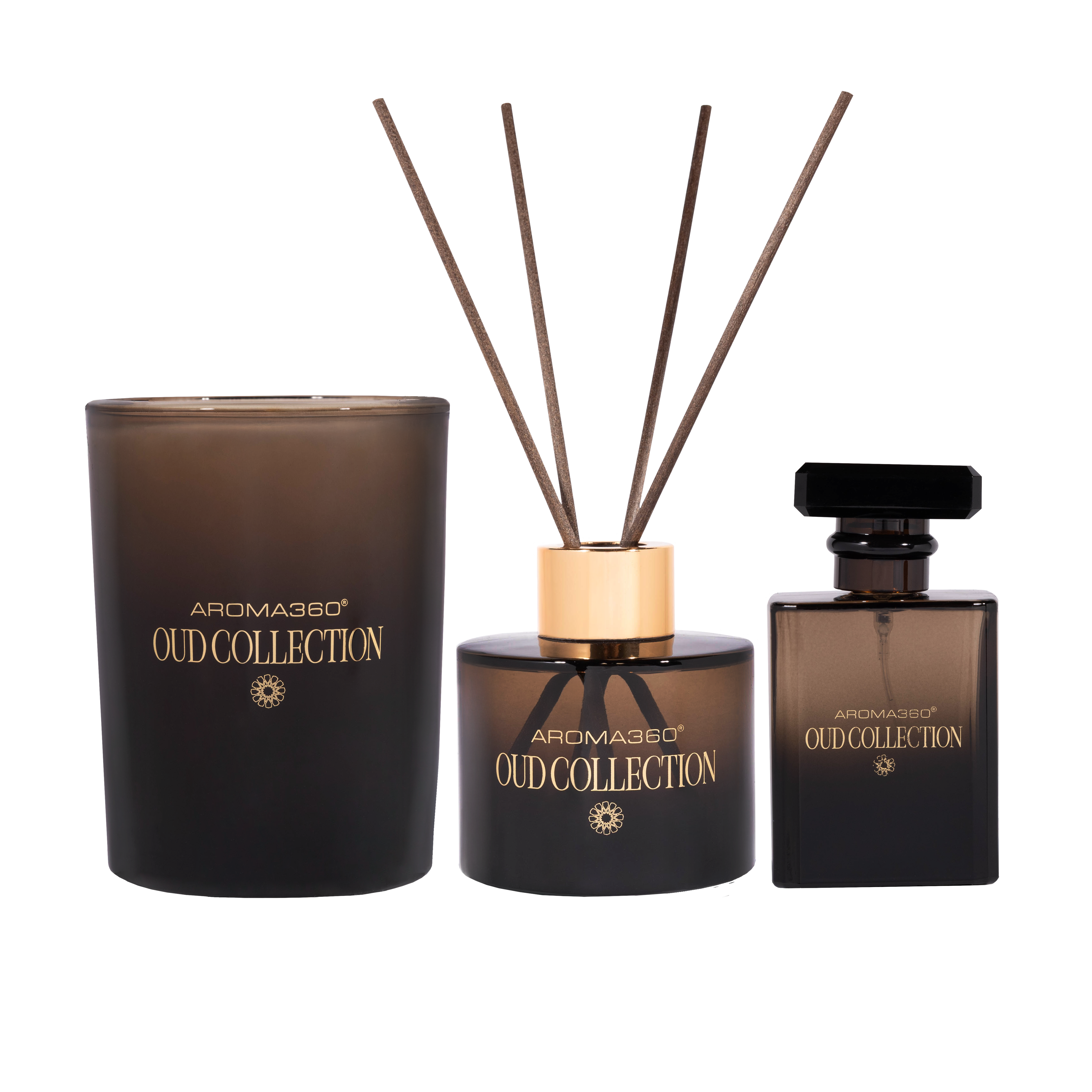 Oud Trio Collection