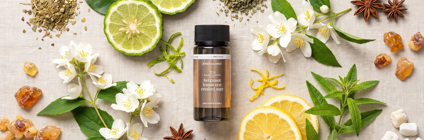 The Best Scents for Focus and Concentration