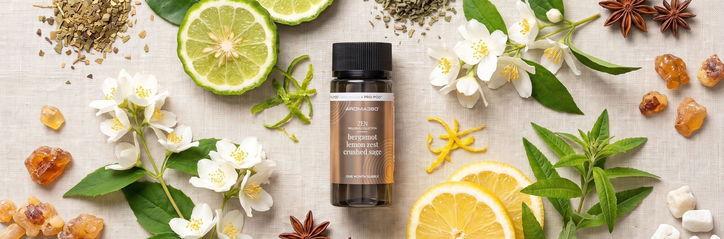 The Best Scents for Focus and Concentration