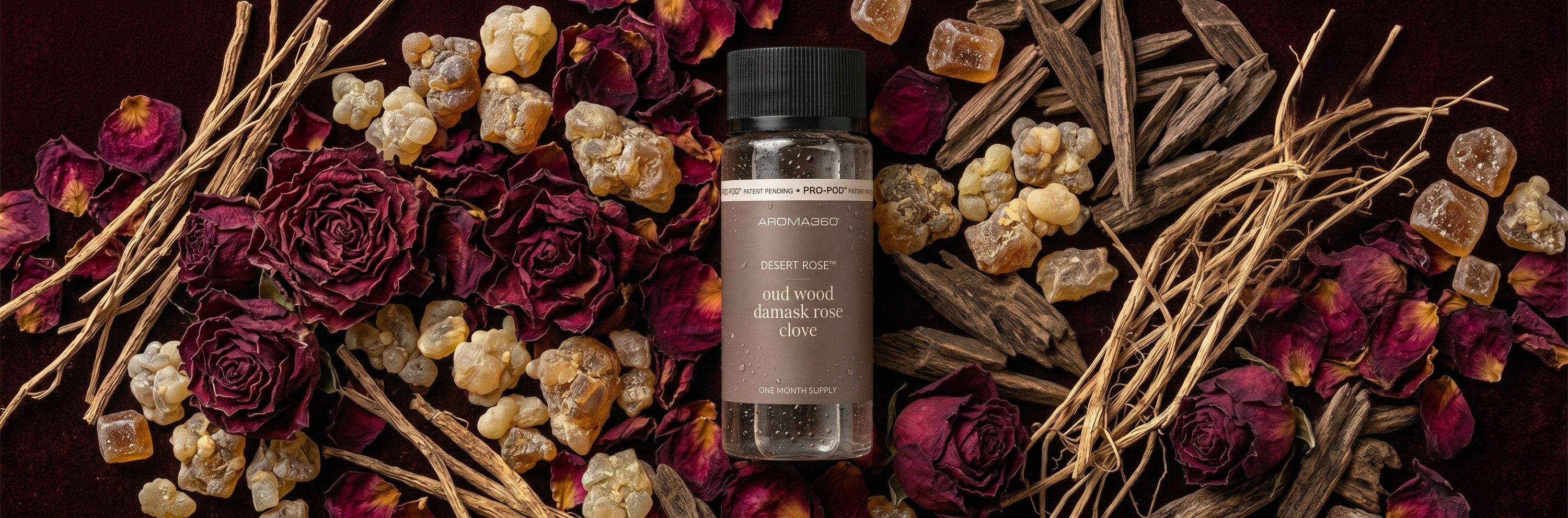 Frankincense Home Fragrance Scents for Diffusers | Aroma360