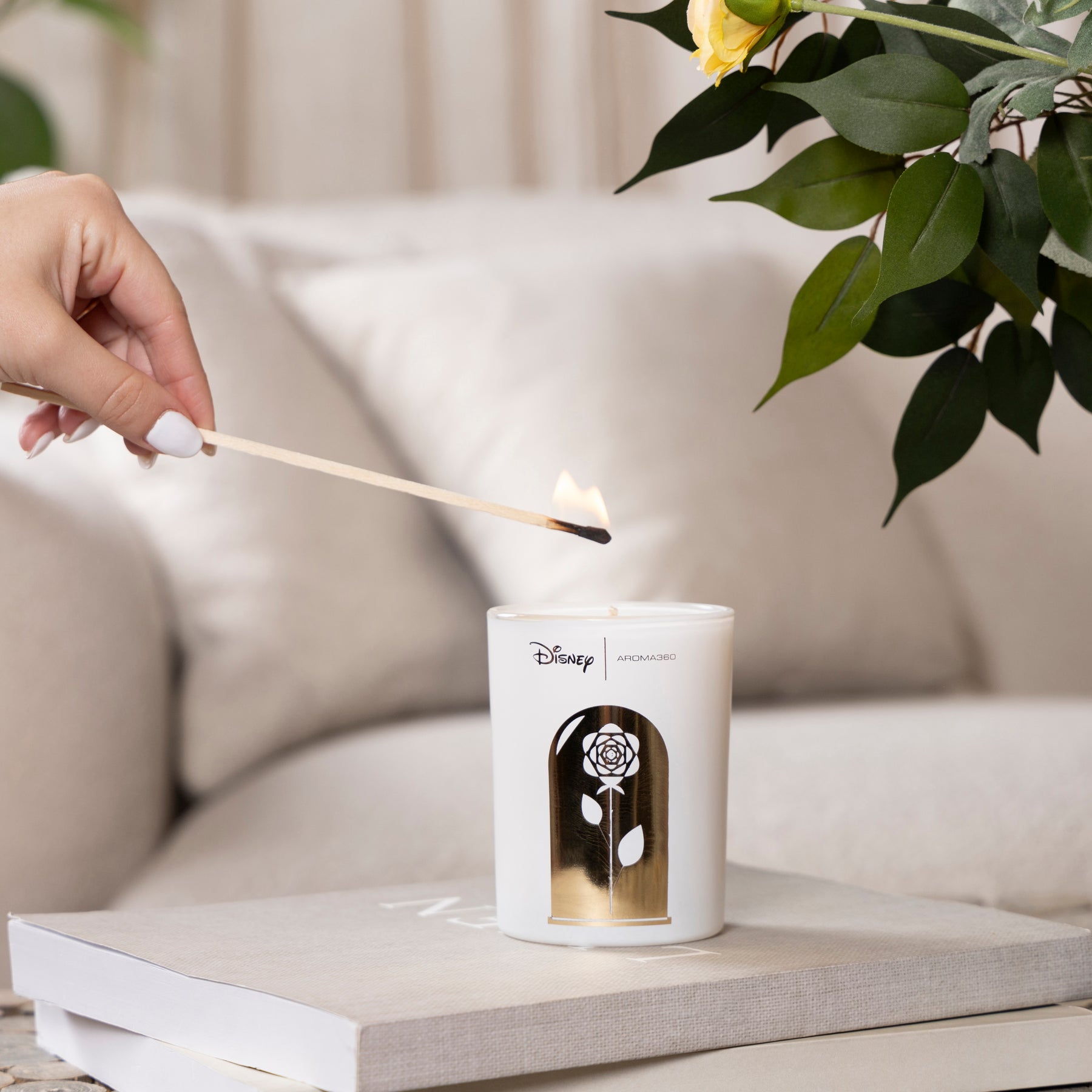 Belle Collection Set