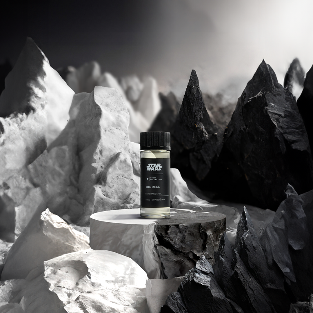 Star Wars ™  The Duel