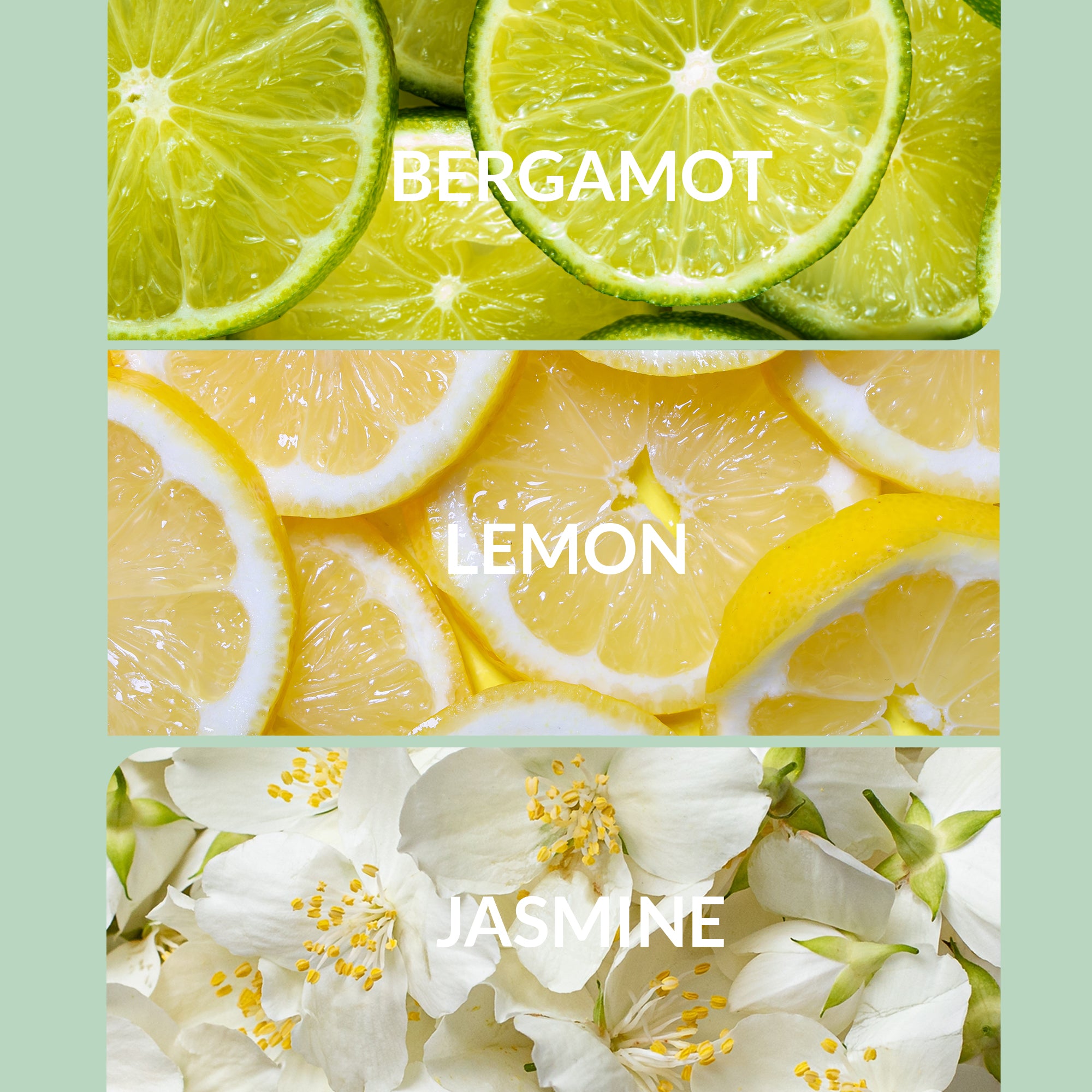 Citrus Scents - Luxury Diffuser Oil Collection | Aroma360