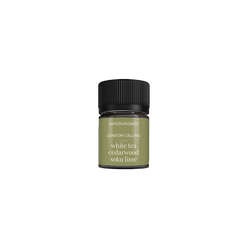 Kube 20mL Diffuser Oil