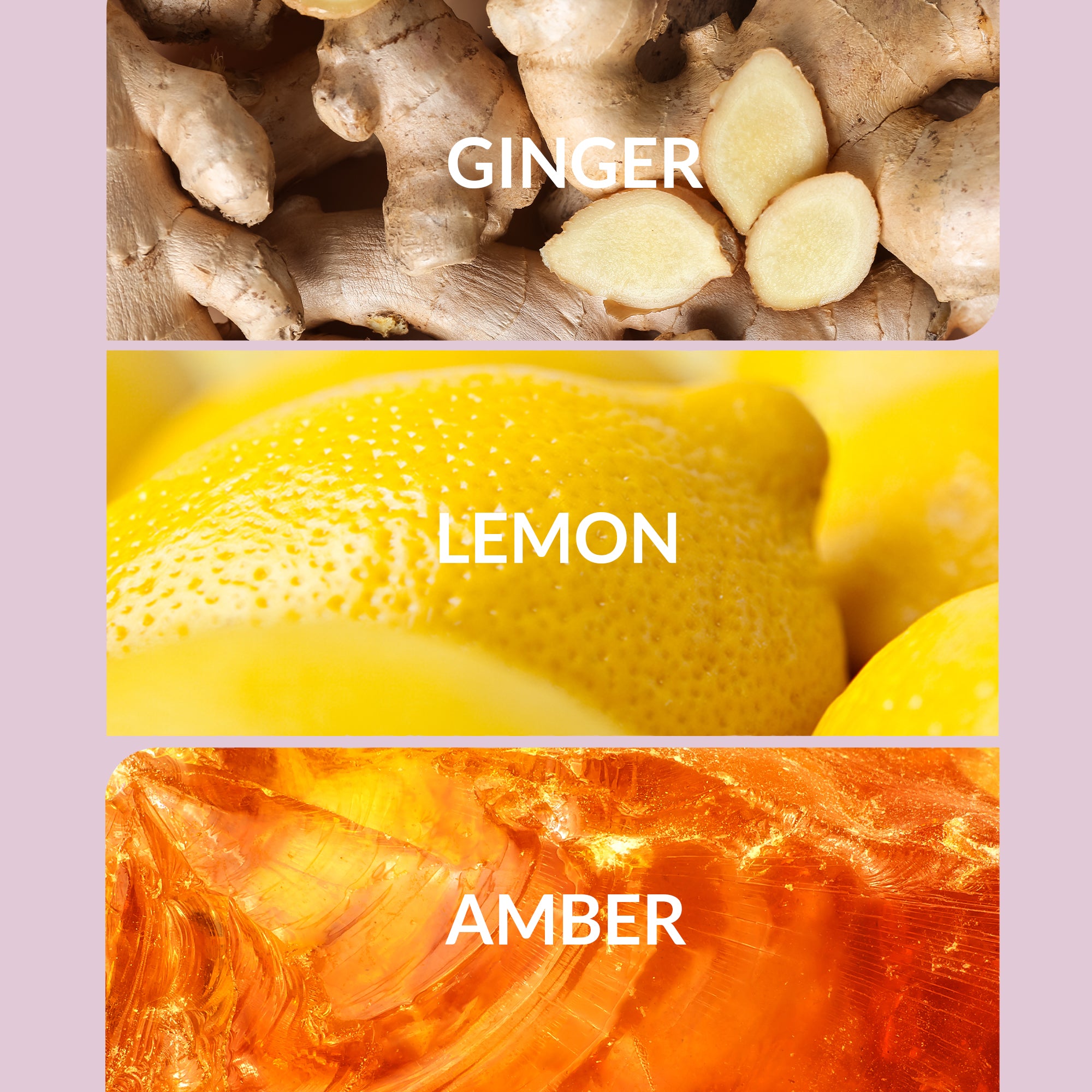 Relaxing Spa Fragrances & Scents | Aroma360 - floral - floral