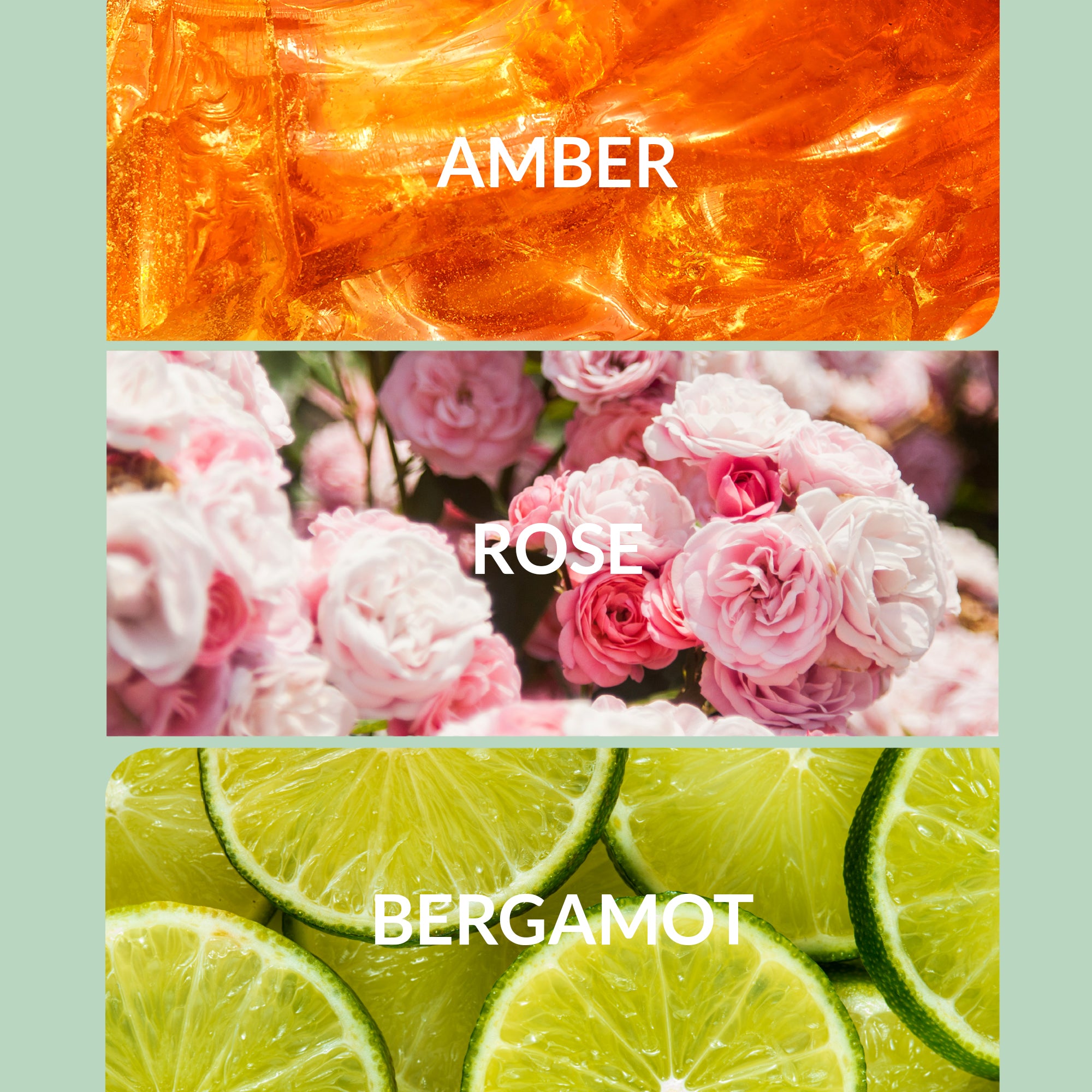 Bergamot Home Fragrance | Bright Citrus Scent Diffuser Oils