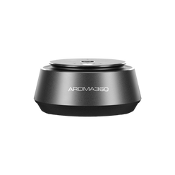 Smart Car Diffuser / Platinum