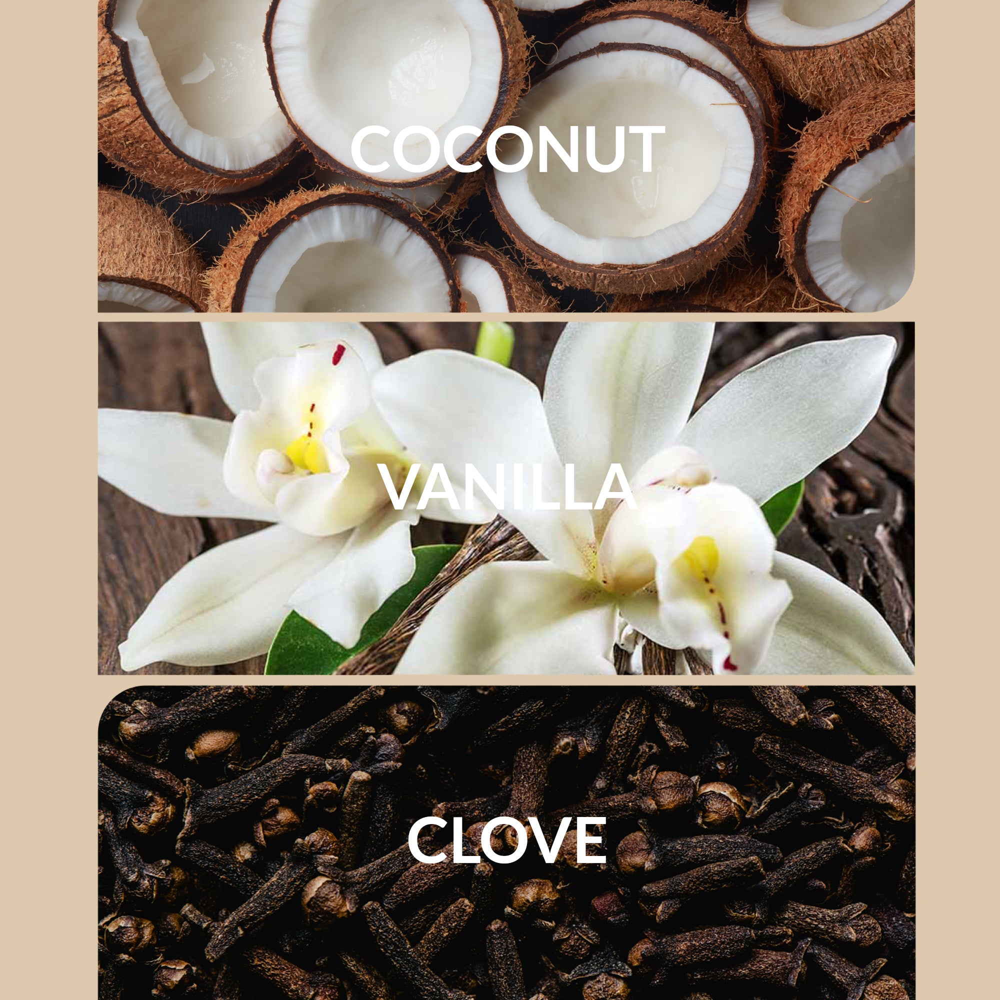 Fragrance Oil for Diffusers | Premium Scent Oils | Aroma360