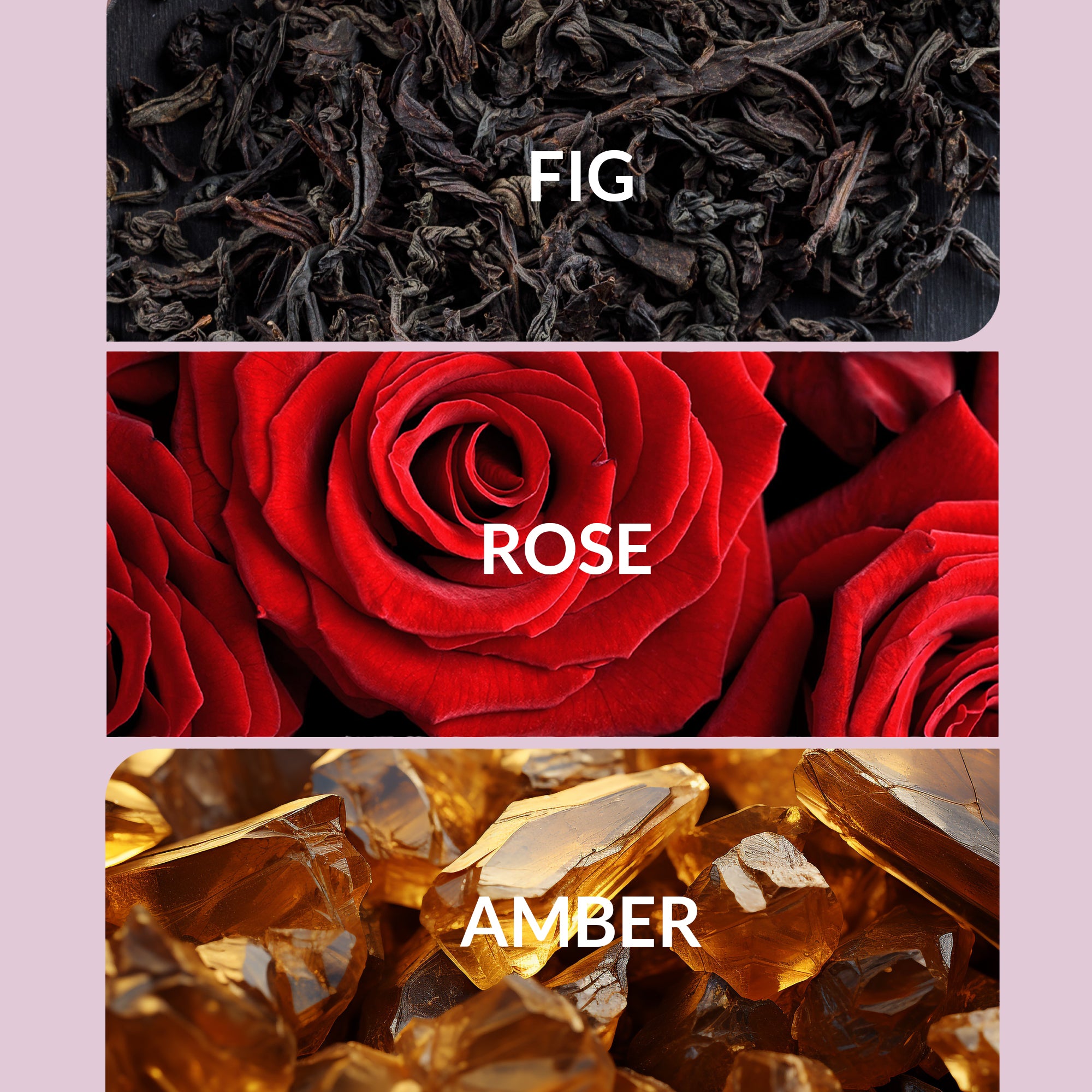 Regular / 30mL — Free Diffuser Set
