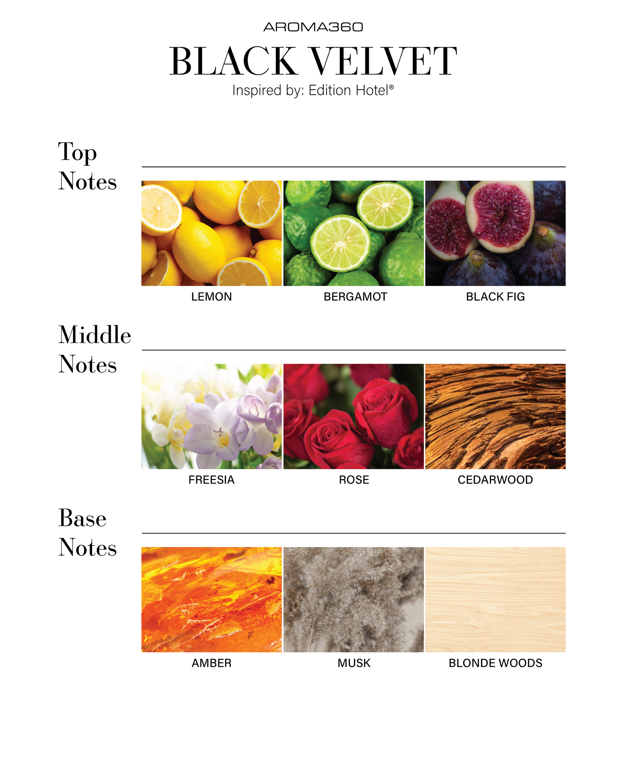 Black Velvet / One Month Supply — Free Diffuser