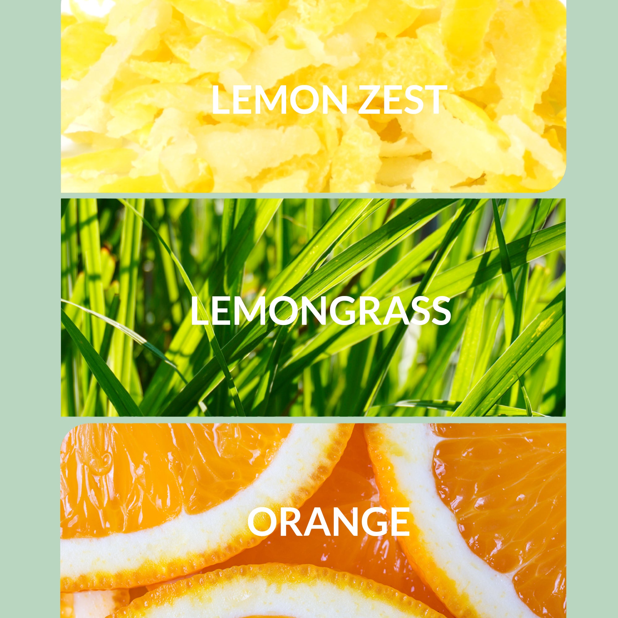 Citrus Scents - Luxury Diffuser Oil Collection | Aroma360