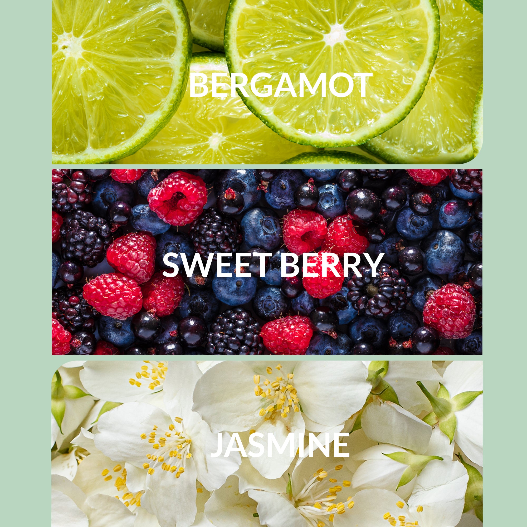 Citrus Scents - Luxury Diffuser Oil Collection | Aroma360
