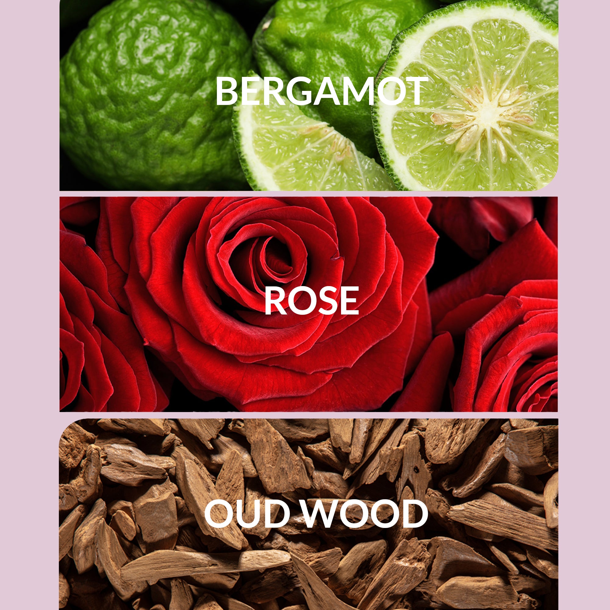 Bergamot Home Fragrance | Bright Citrus Scent Diffuser Oils