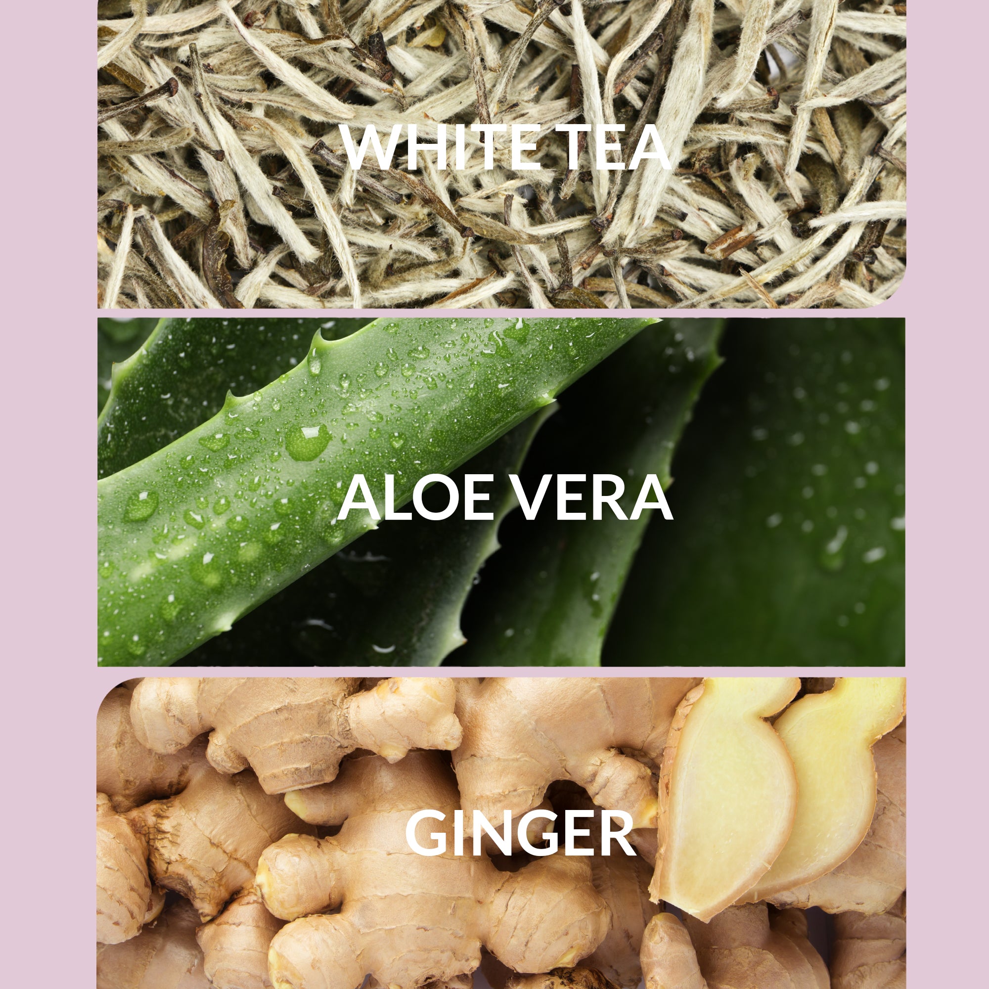 Scented Oils, Candles, Diffusers & Room Sprays | Aroma360