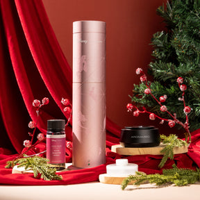 Mini Pro Scent Diffuser + Pro-Pod + Smart Car Diffuser + Smart Car Diffuser Oil