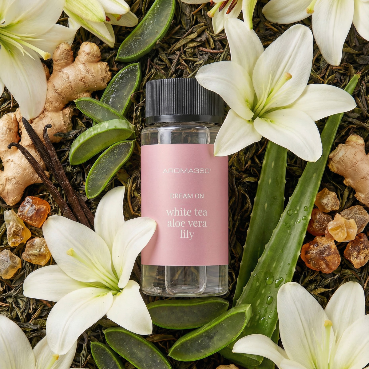 Dream On White Tea Aloe Vera Lily