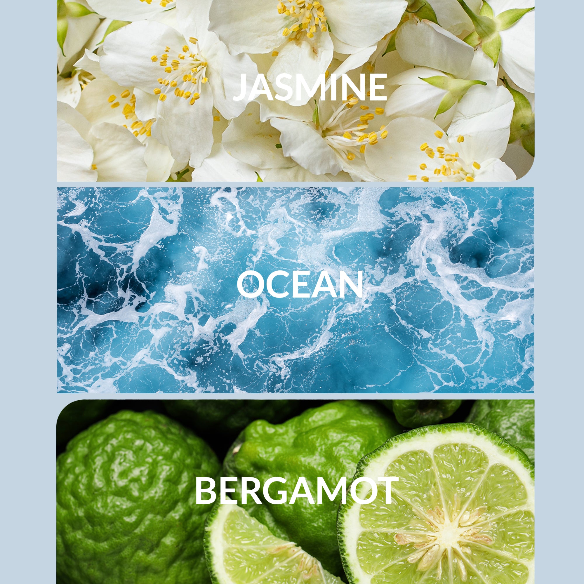 Bergamot Home Fragrance | Bright Citrus Scent Diffuser Oils