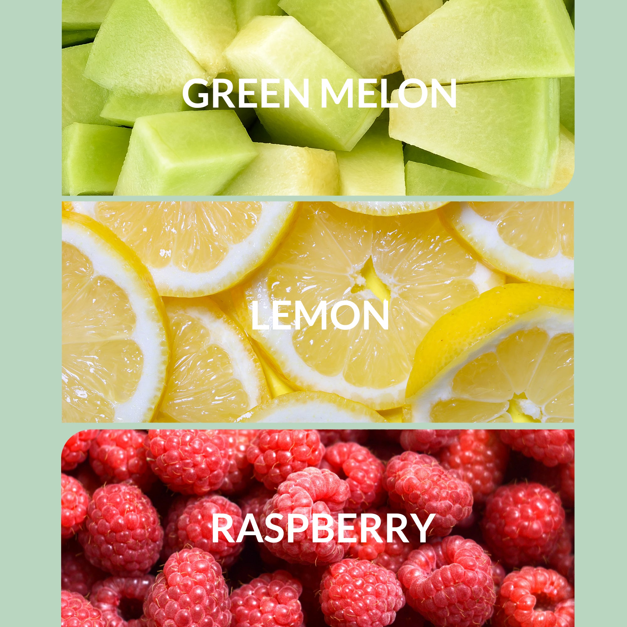 Regular / 30mL — Free Diffuser