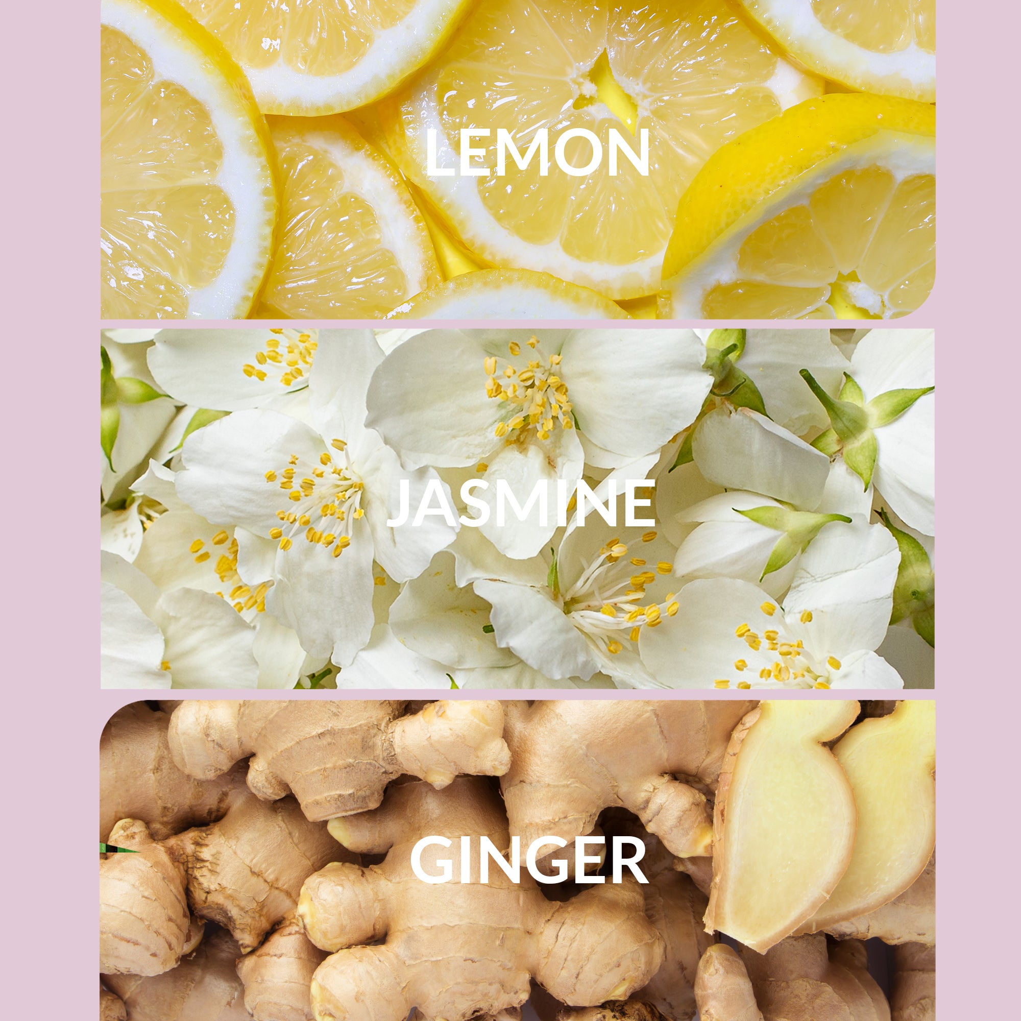 Jasmine Home Fragrance | Elegant White Floral Scent Diffuser Oils