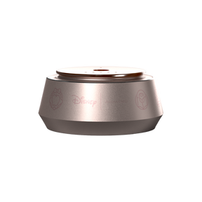 Princess Smart Car Diffuser™