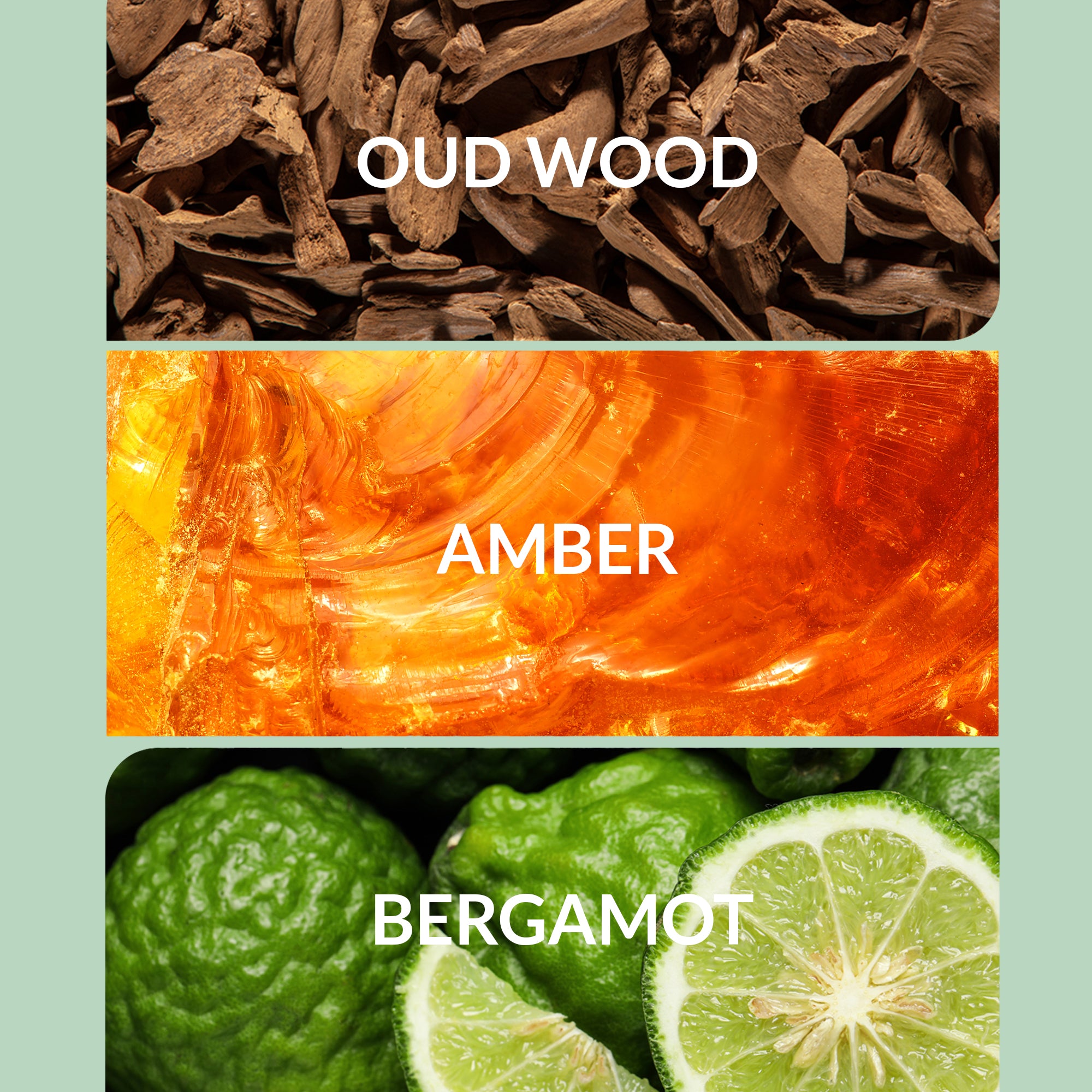 Citrus Scents - Luxury Diffuser Oil Collection | Aroma360