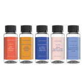 Seasonal Collection (Summer) Discovery Set