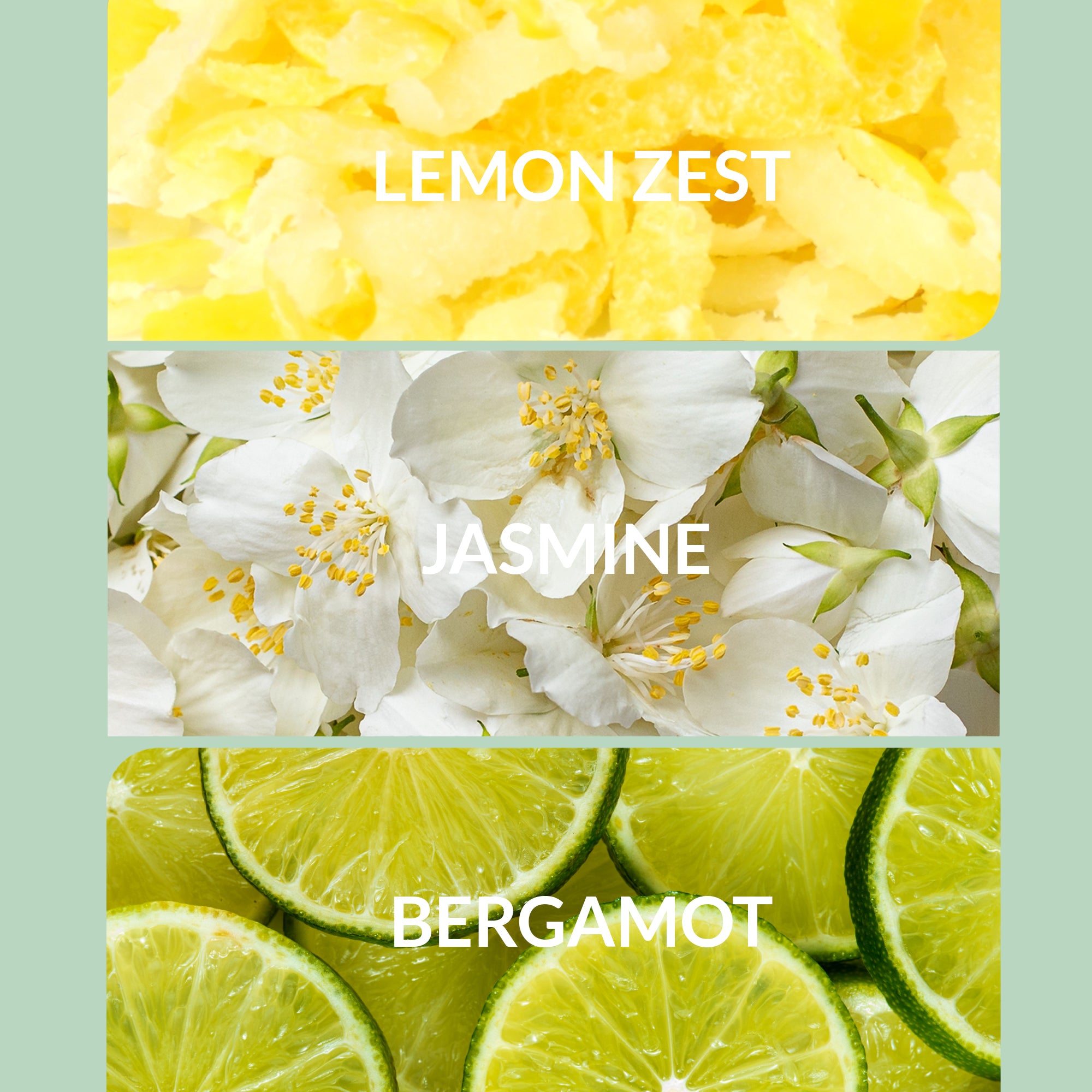 THEBLISS.jpg?v=1772220987&