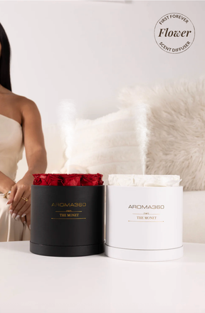 The Monet Scent Diffuser Starter Kit