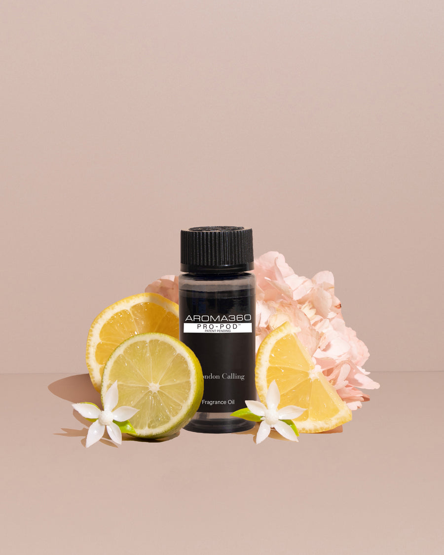 London Calling Scent